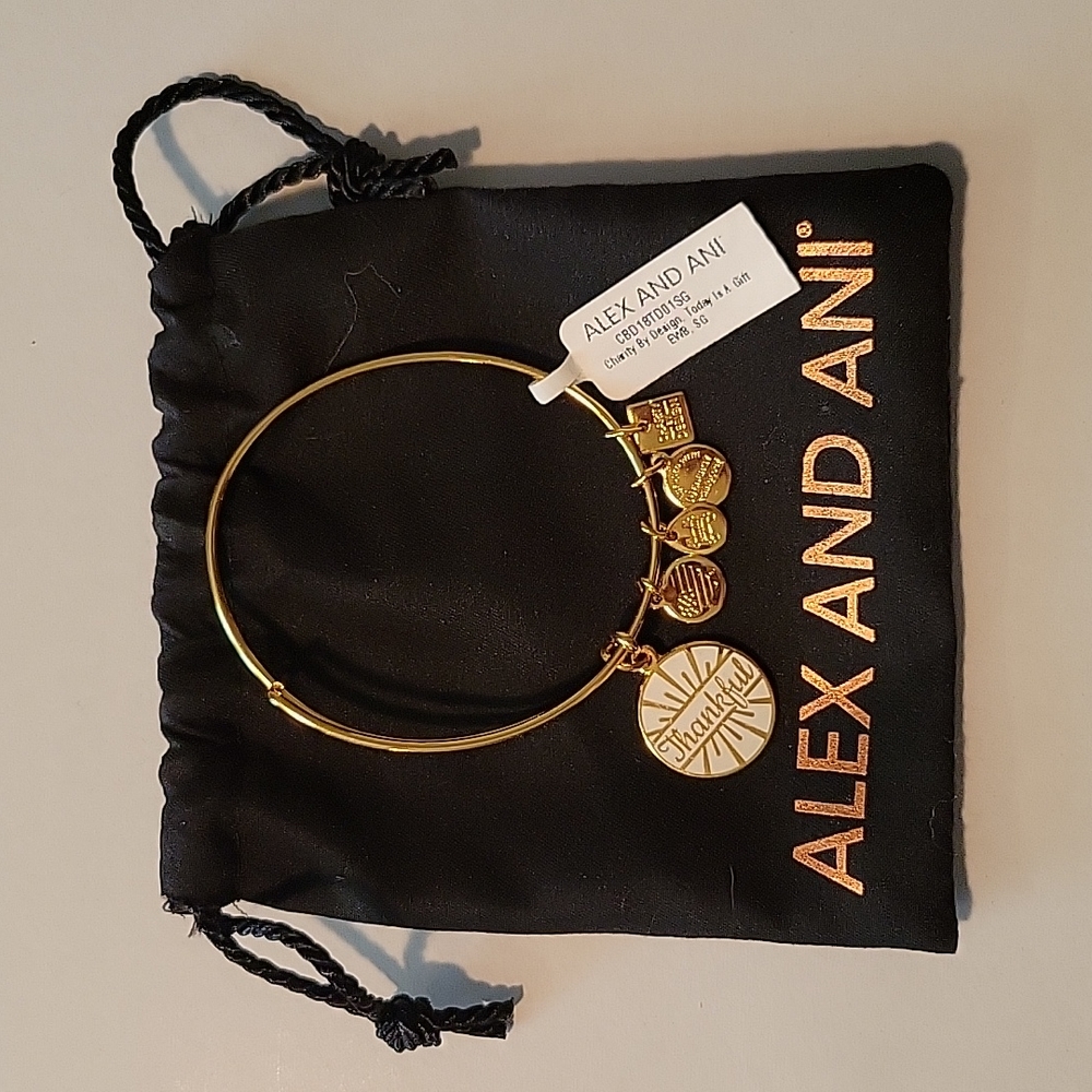NWT ALEX AND ANI BRACELET